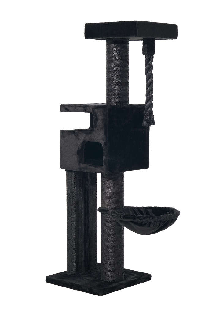 Nobby Kratzbaum Yoan